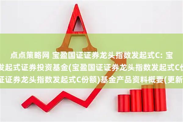 点点策略网 宝盈国证证券龙头指数发起式C: 宝盈国证证券龙头指数型发起式证券投资基金(宝盈国证证券龙头指数发起式C份额)基金产品资料概要(更新)