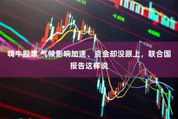 嗨牛股票 气候影响加速、资金却没跟上，联合国报告这样说